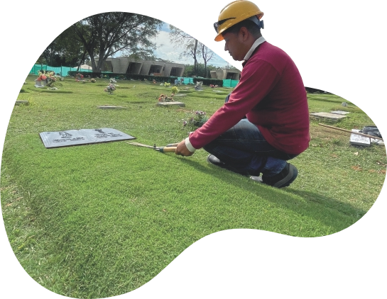 productos cuidamos y mantenemos mantenimiento de predio tumba