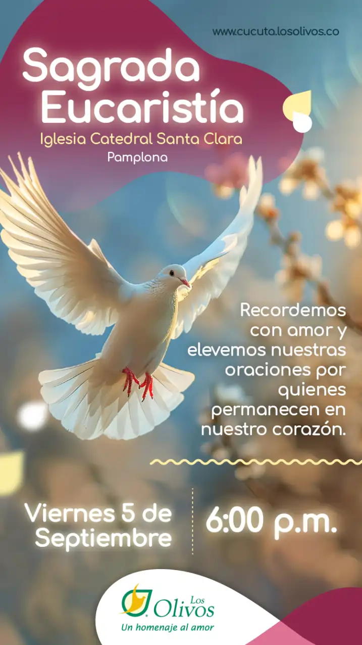 MISA LOS OLIVOS PAMPLONA