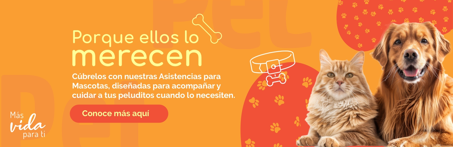 asistencias para mascotas los olivos